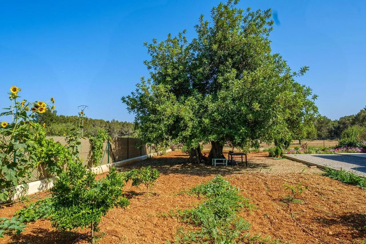 Villa Casa Cristina Ibiza à Sant Carles de Peralta 0*,  Espagne